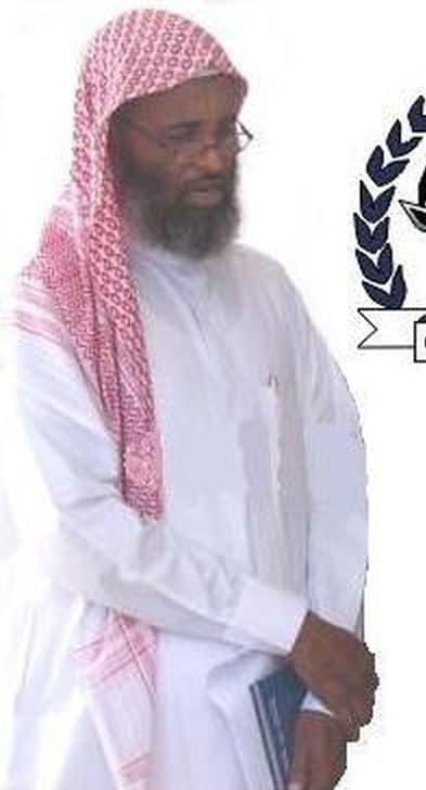 Professor Ibrahim Hassan Adow